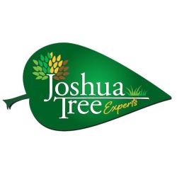 Joshua Tree Experts