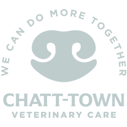 Chatt-Town Veterinary Care