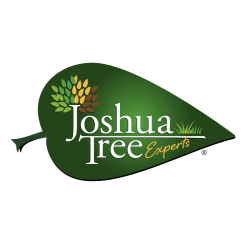 Joshua Tree Experts