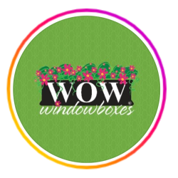 Wow Windowboxes
