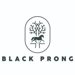 Black Prong Resort