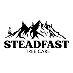 Steadfast Tree Care