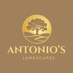 Antonio's Landscapes
