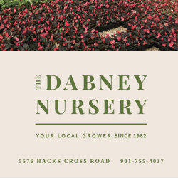 Dabney Nursery