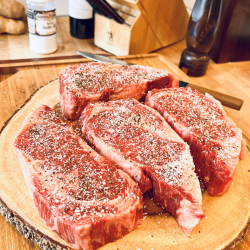 Mountain States Cattle