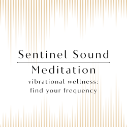 Sentinel Sound LLC