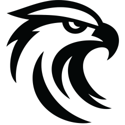Iron Eagle Advisors