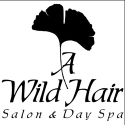 A Wild Hair Salon & Spa