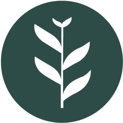 Rocky Mountain Regenerative Medicine