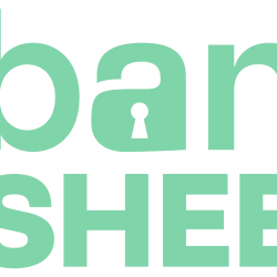 Banshee Cybersecurity