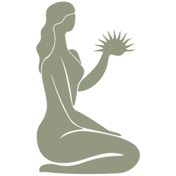 Almah Chiropractic & Wellness