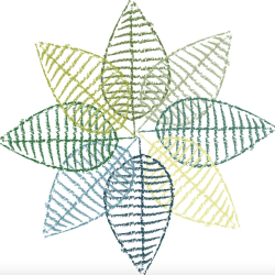 Terra Therapies, PLLC