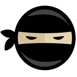 Code Ninjas Leawood