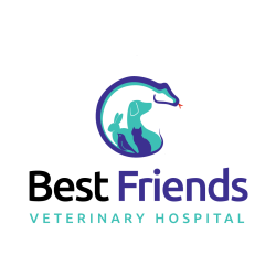 Best Friends' Veterinary Hospital