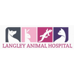 Langley Animal Hospital