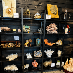 Gaea Rare | Crystals, Minerals, Decor, and Antiquities