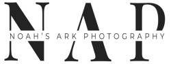 Noah's Ark Photography
