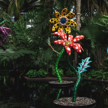 NYBG's Kusama: Cosmic Nature