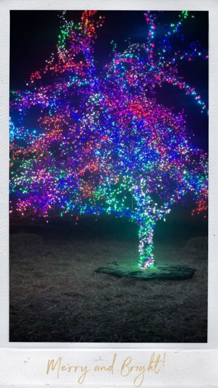 Shine Bright at Lee's Summit Magic Tree