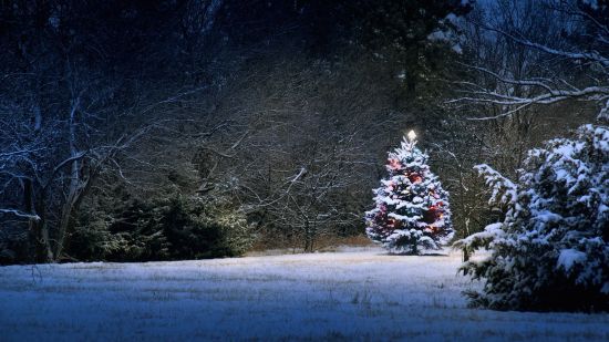 Featured Image