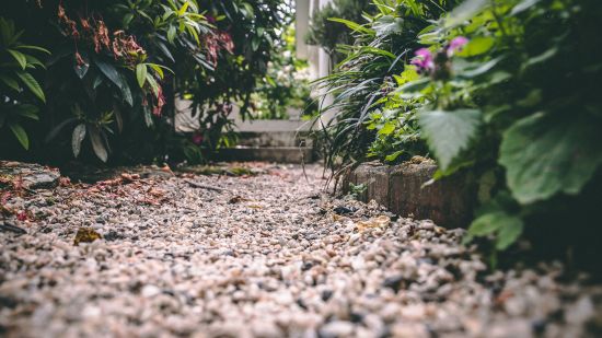 Featured image for Create a Garden Path for Better Drainage