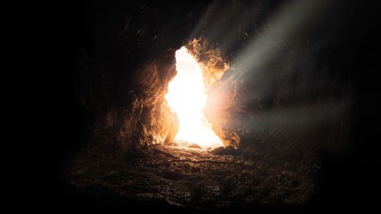 Featured Image