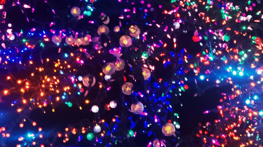 Shine Bright at Lee's Summit Magic Tree