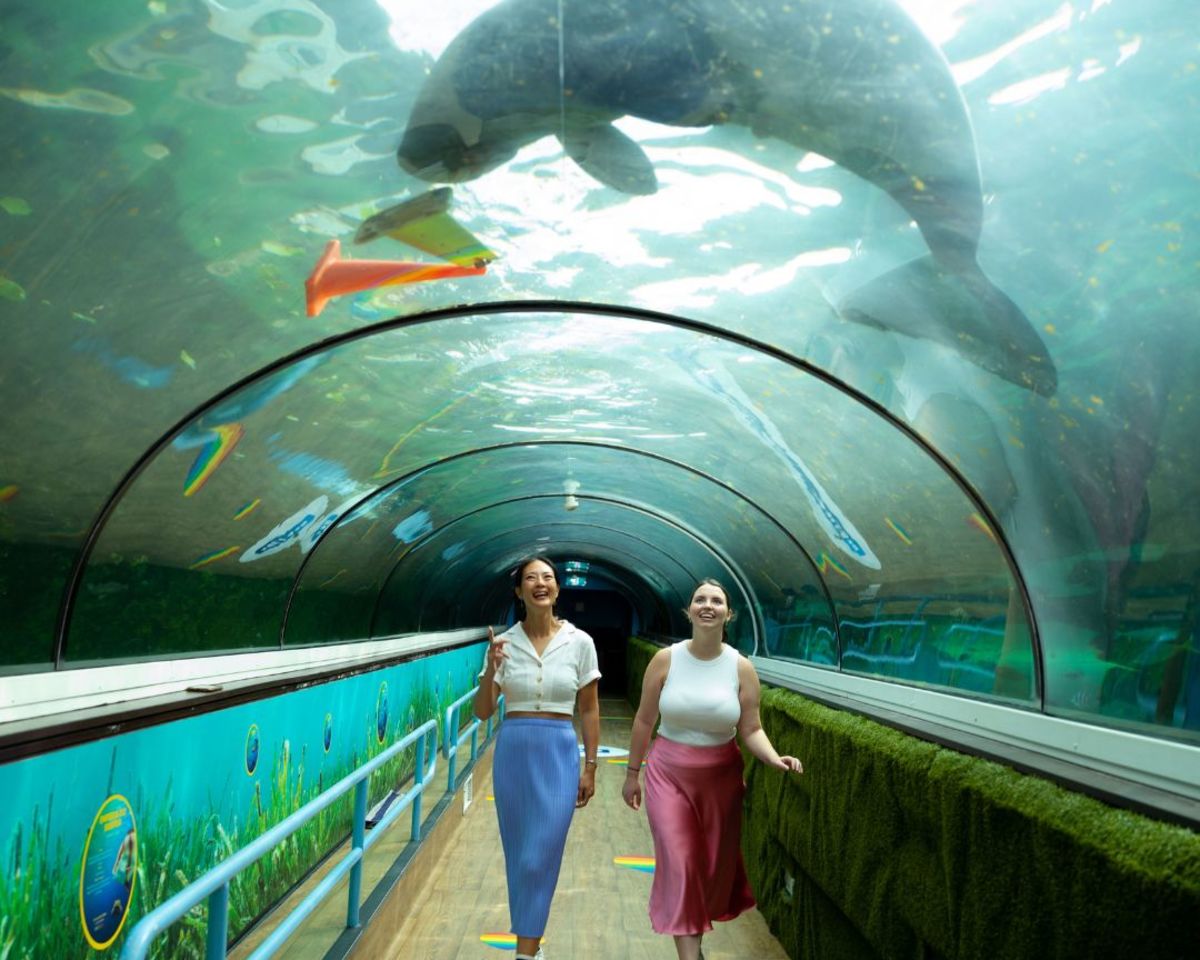 Animals | Events in Sydney | City of Sydney - What's On Animals | Events in Sydney | City of Sydney - What's On