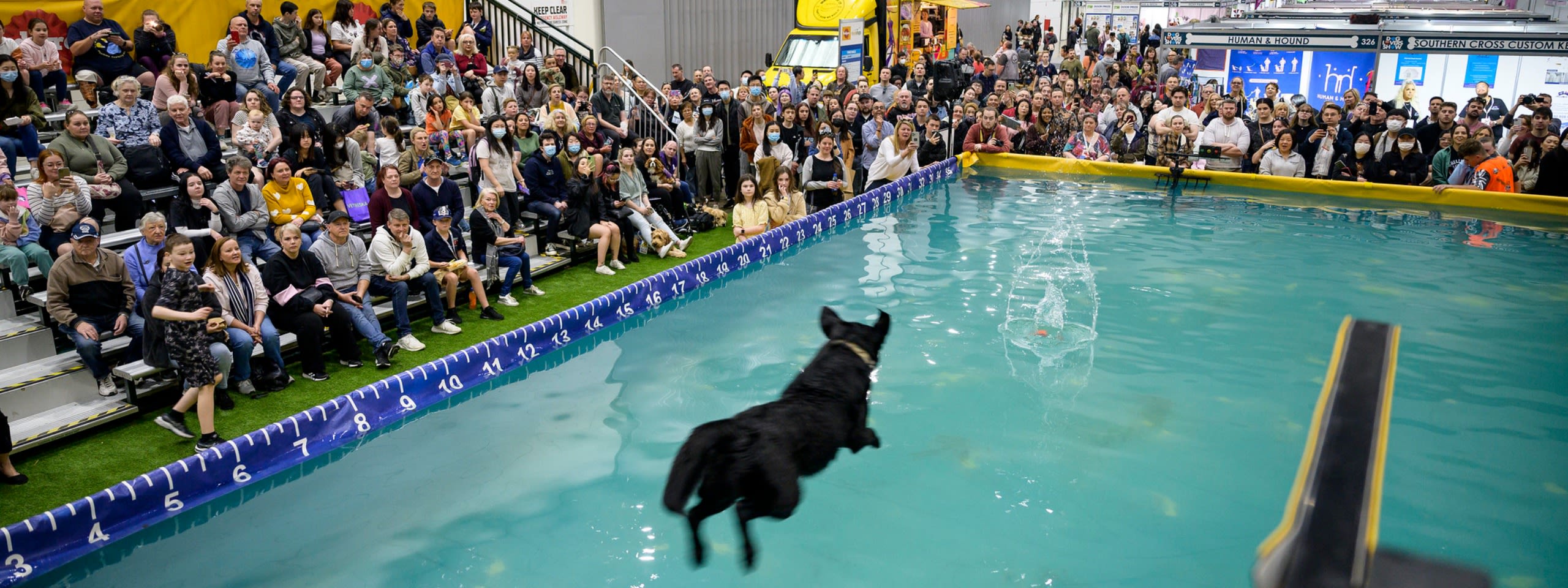 Dog Lovers Festival, Sydney 2023 City of Sydney What’s On