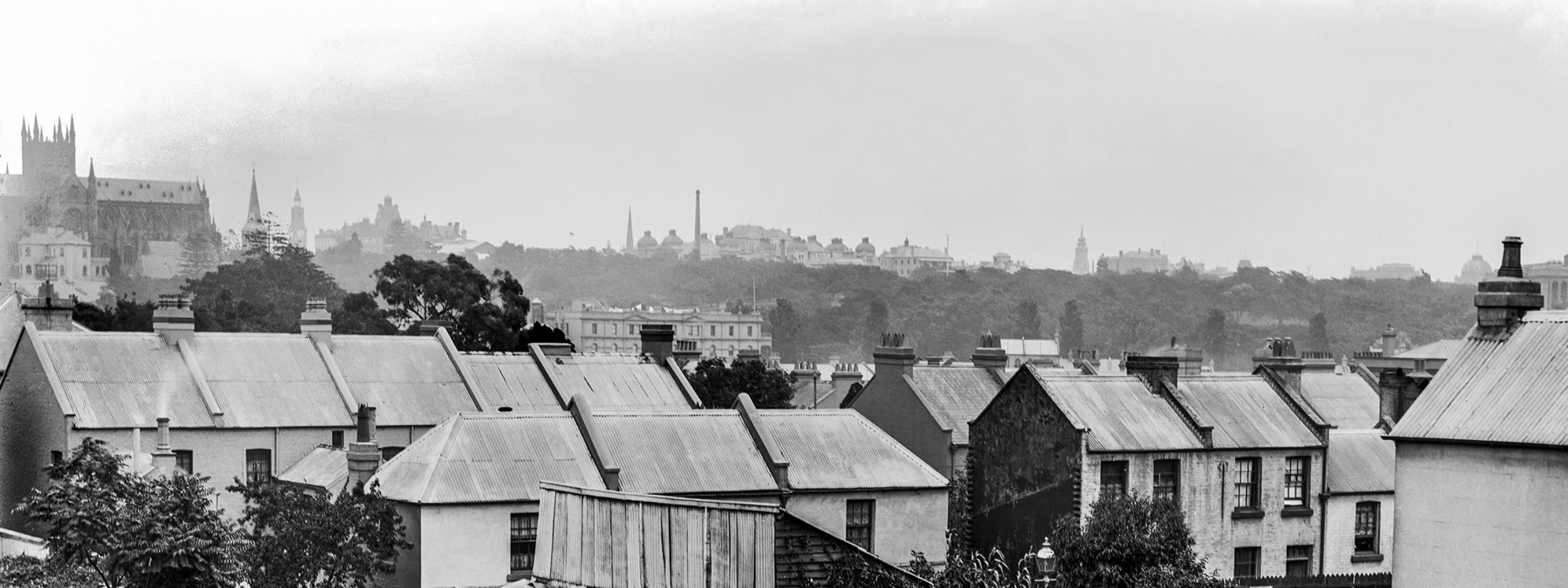 New Orleans In 1890: A Vivacious Snapshot of a City on the Cusp of Change