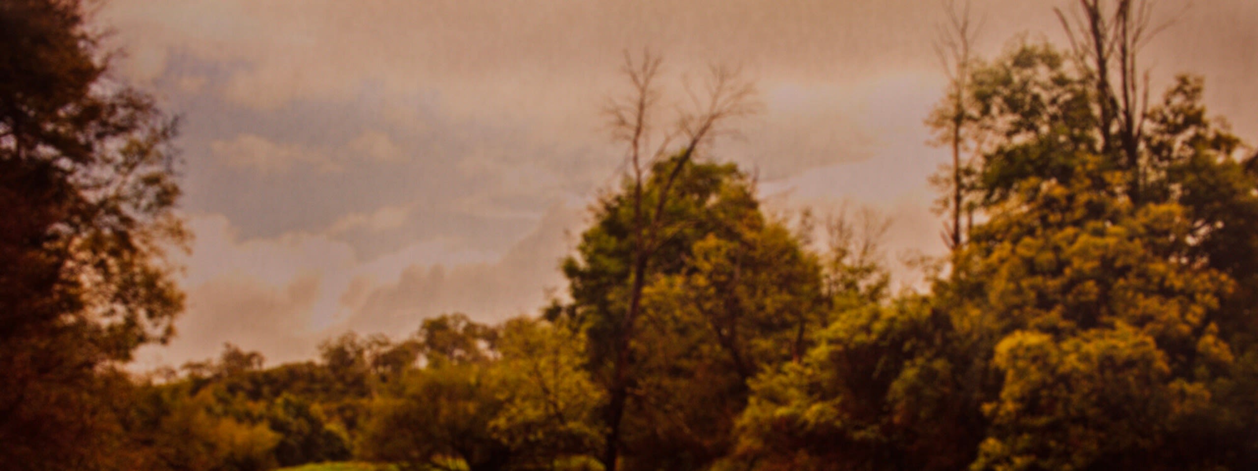 Photographing with Country with Peta Clancy City of Sydney What s On