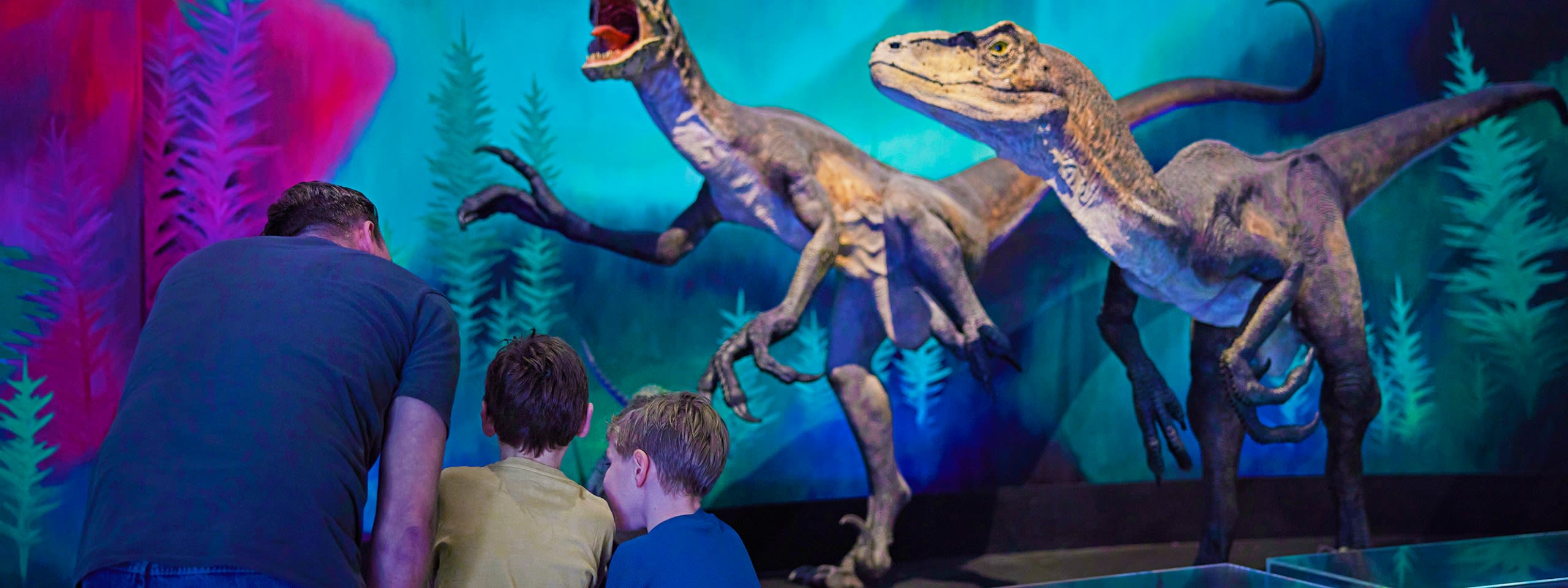 Early Birds event at the Australian Museum