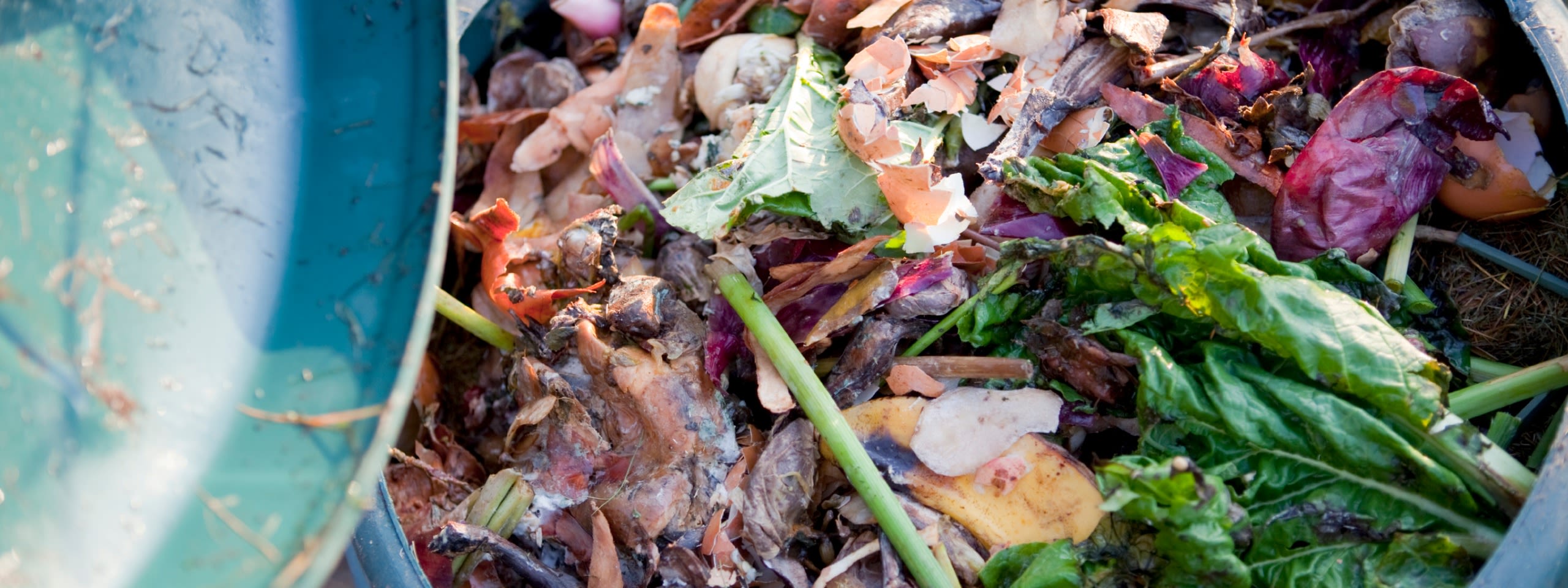 Compost and worm farm basics talk