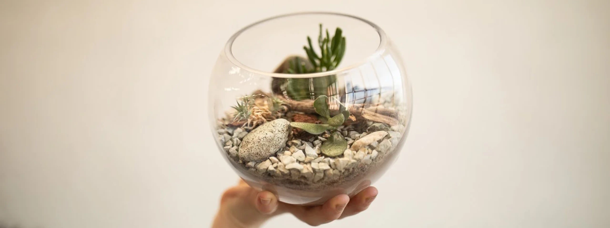 Terrarium Workshop - Create your own miniature ecosystem!