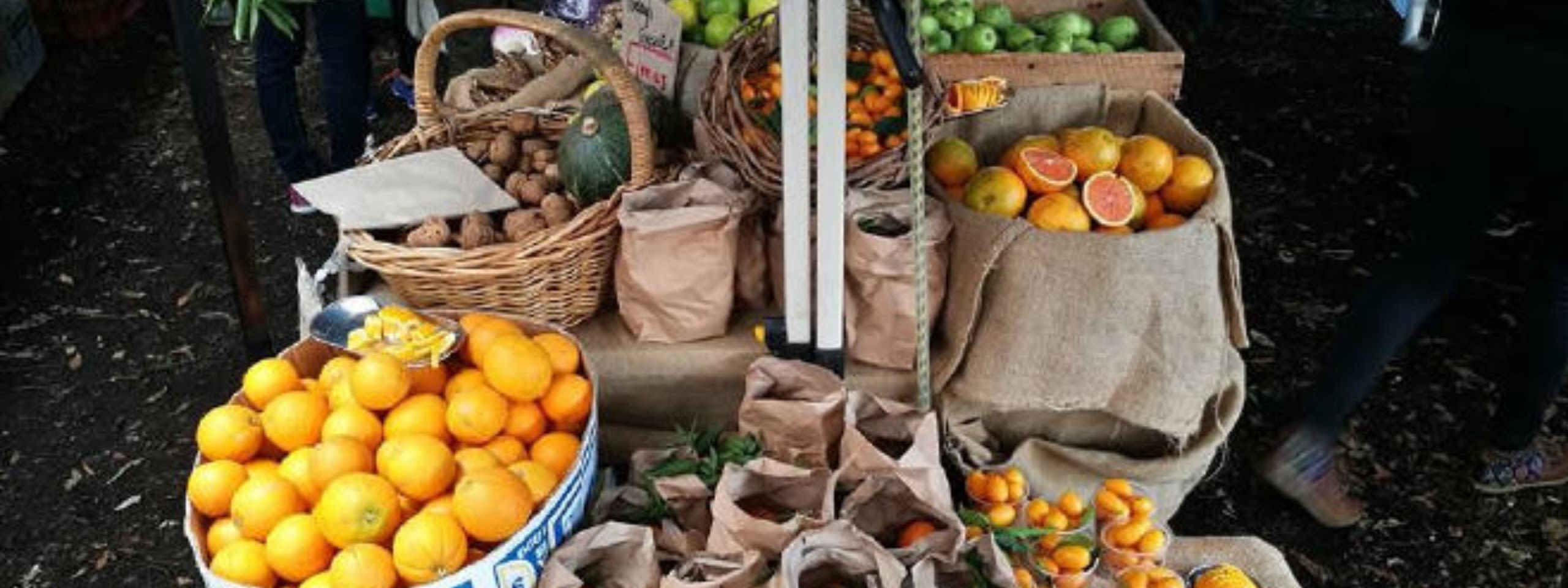 Marrickville Organic Food Market
