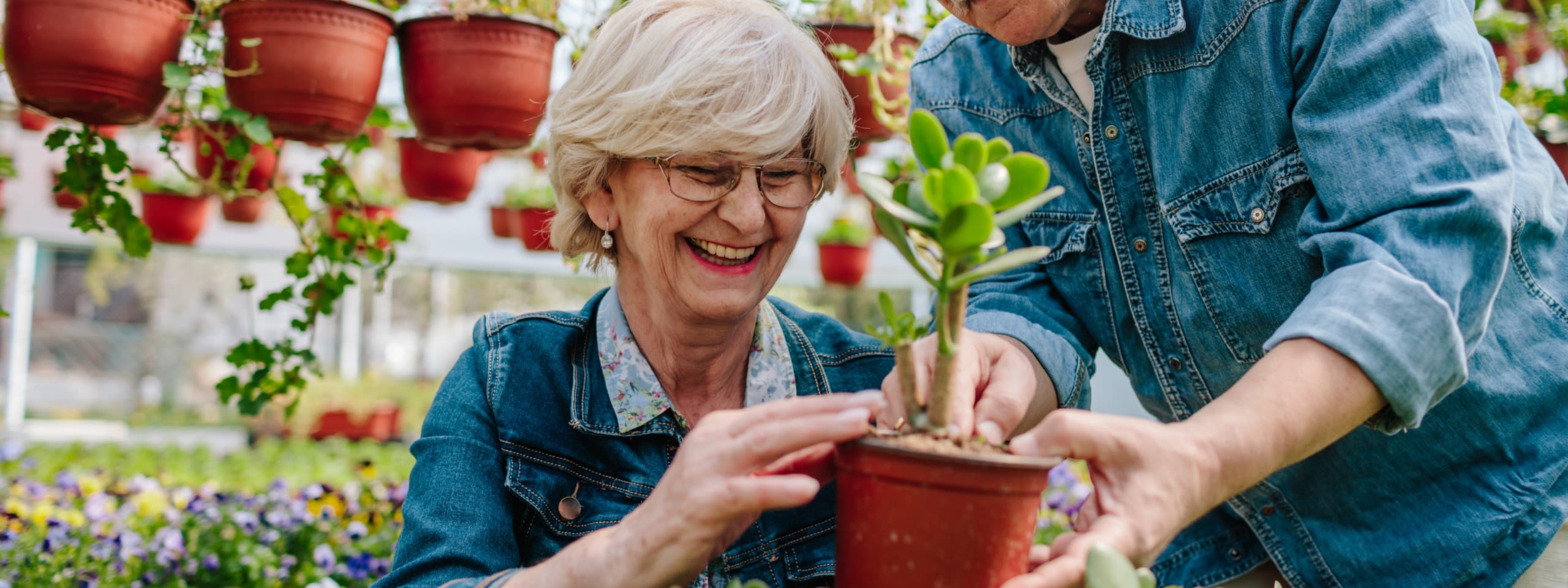 Gardening Gurus
