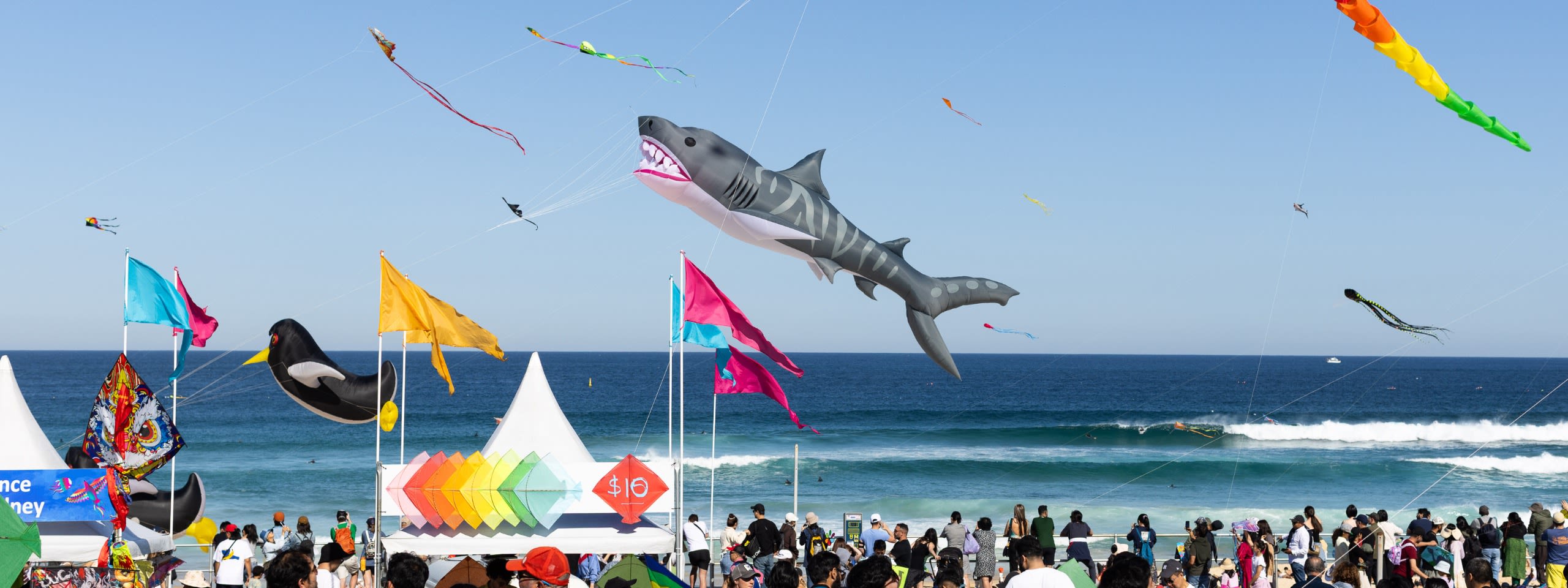 Festival of the Winds at Bondi Beach