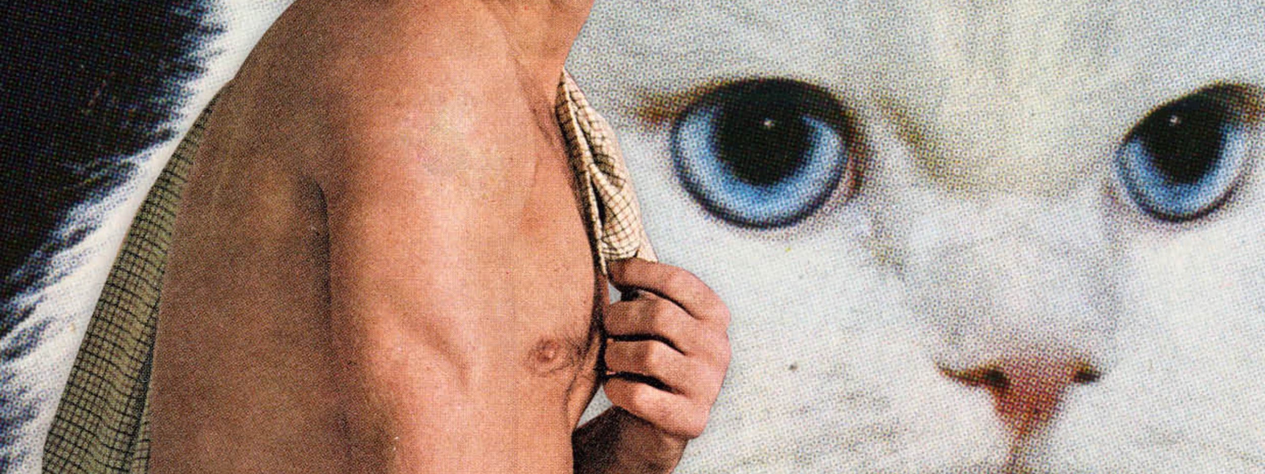 Cut X Paste - Chippendale