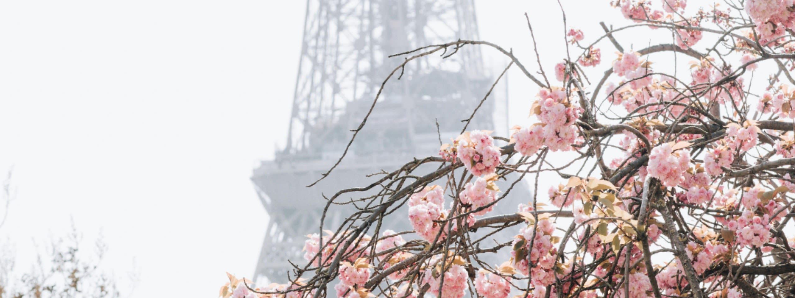 Salut Printemps