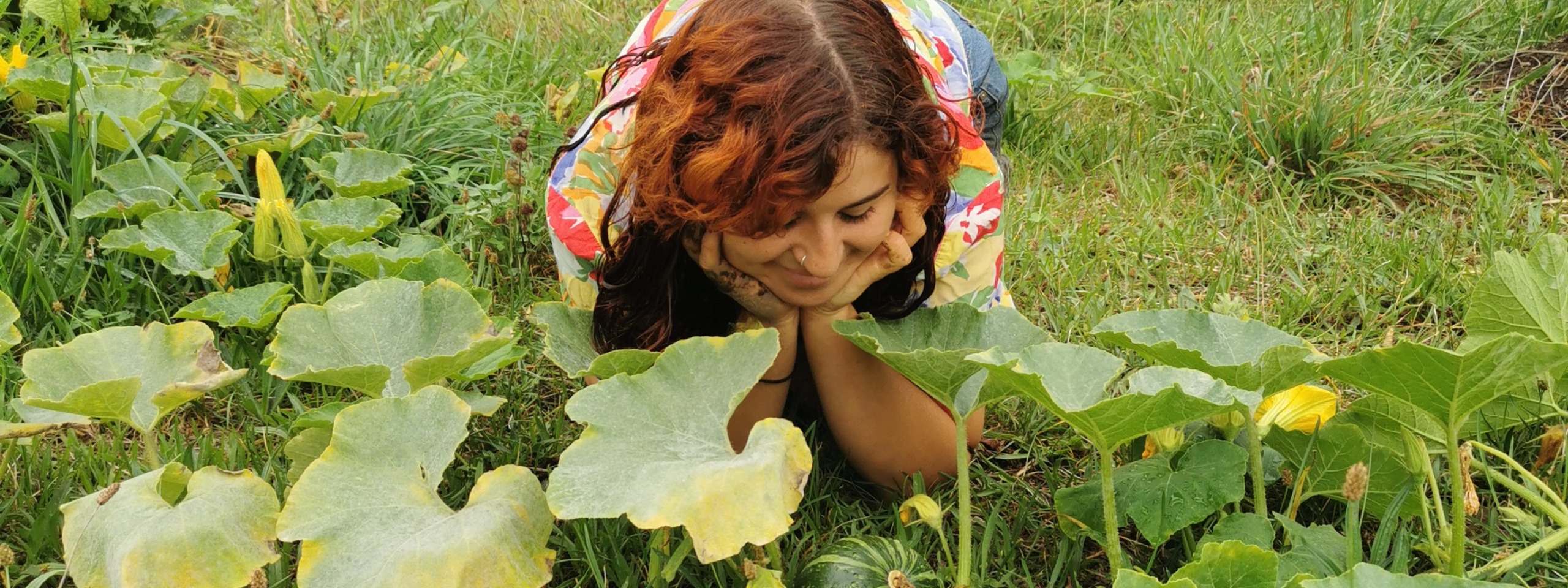 Create a native bee oasis in your garden City of Sydney What’s On