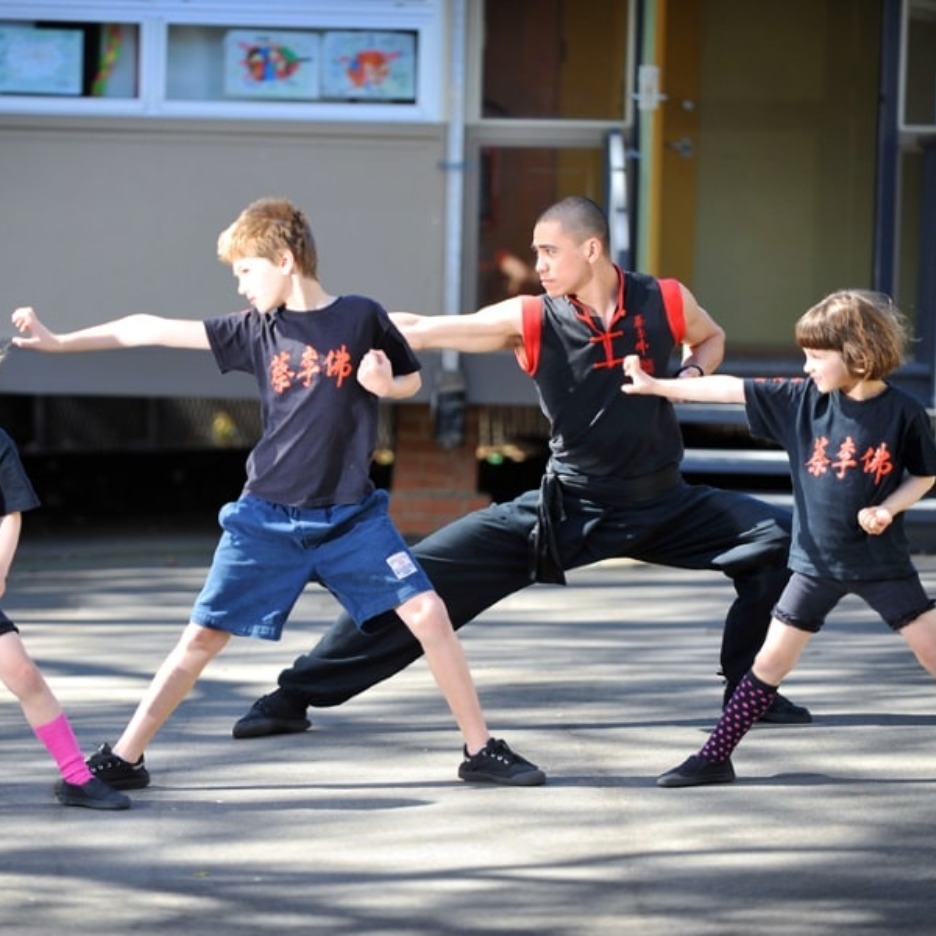 Kids kung fu classes