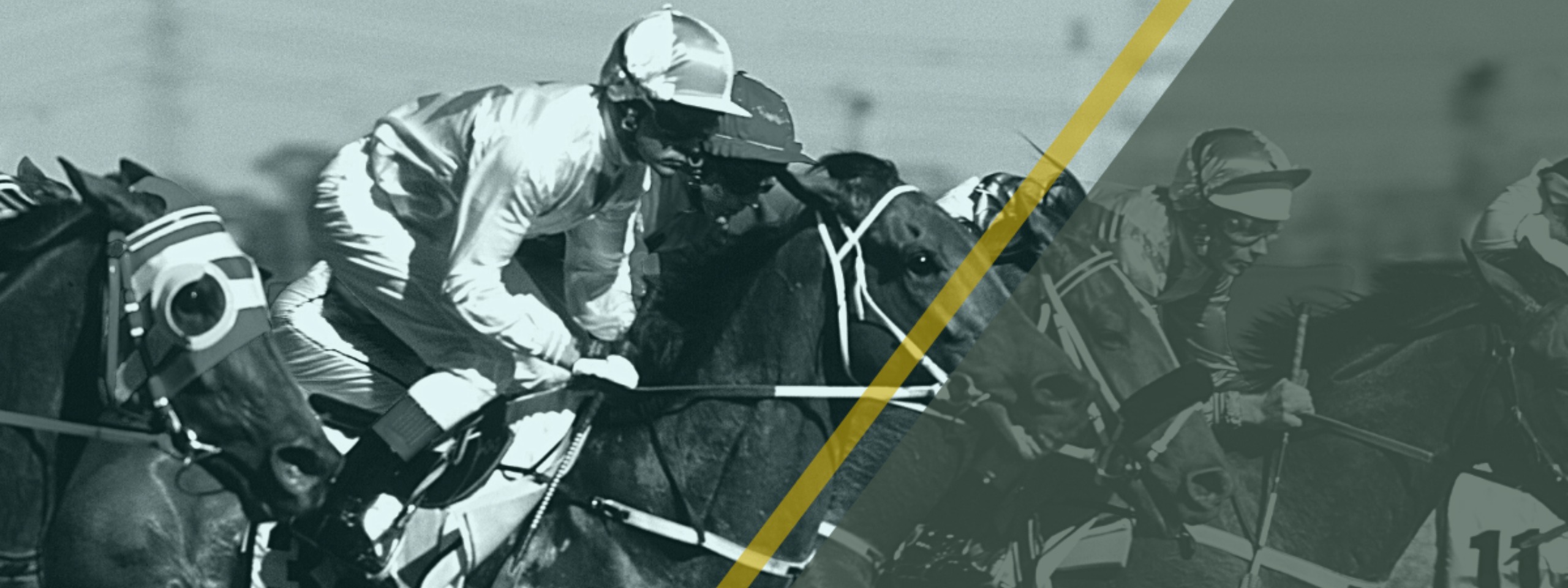 Celebrate Melbourne Cup ’22 in Style at Coogee Wine Room City of Sydney What’s On