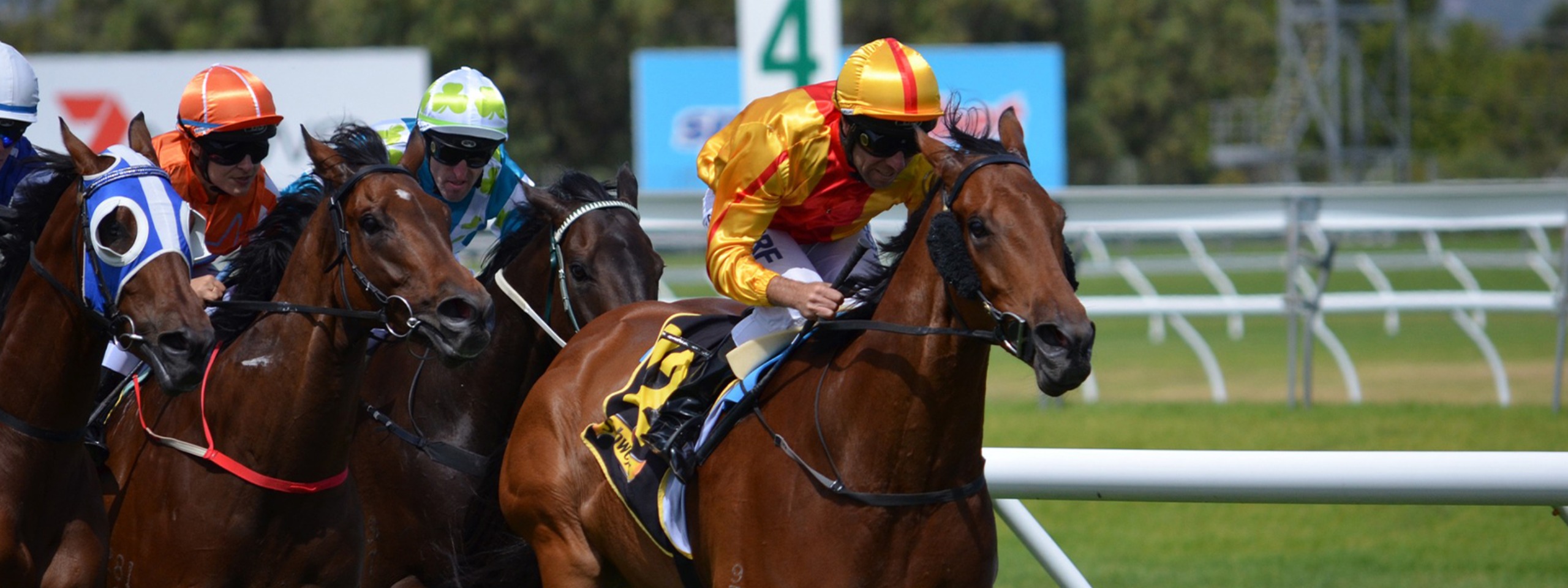 sydney melbourne cup cruise