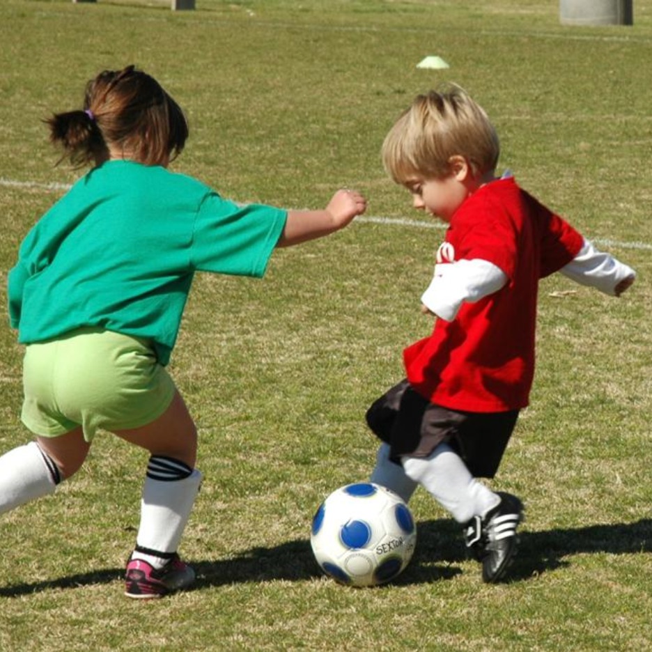 Sydney Lions Junior Soccer Academy at KGV