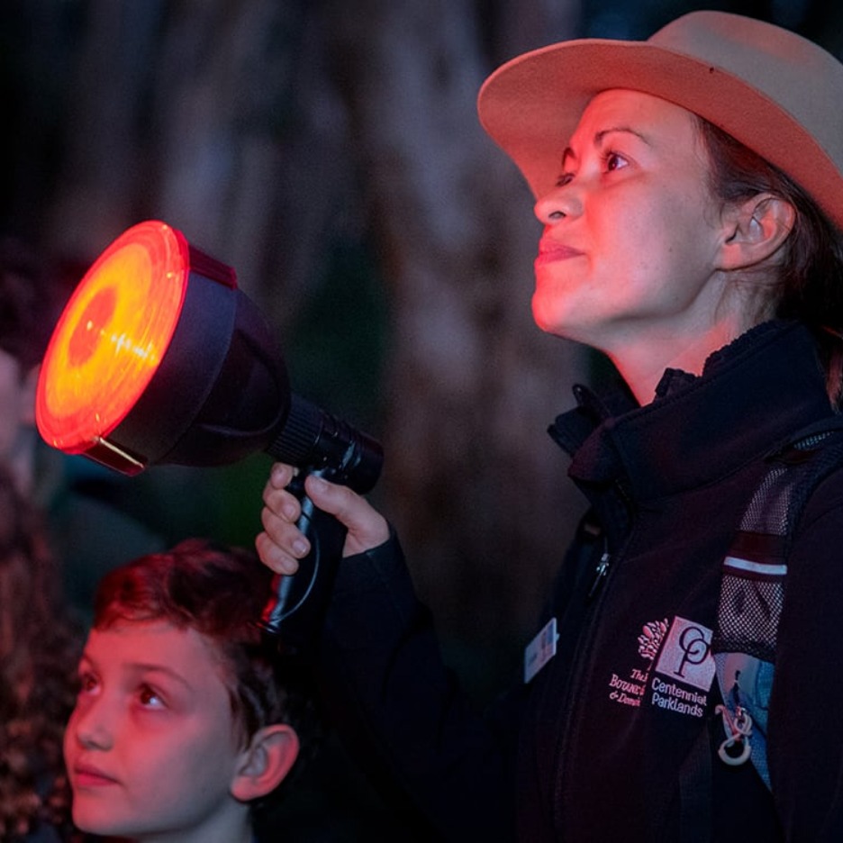 Spotlight Prowl for Families