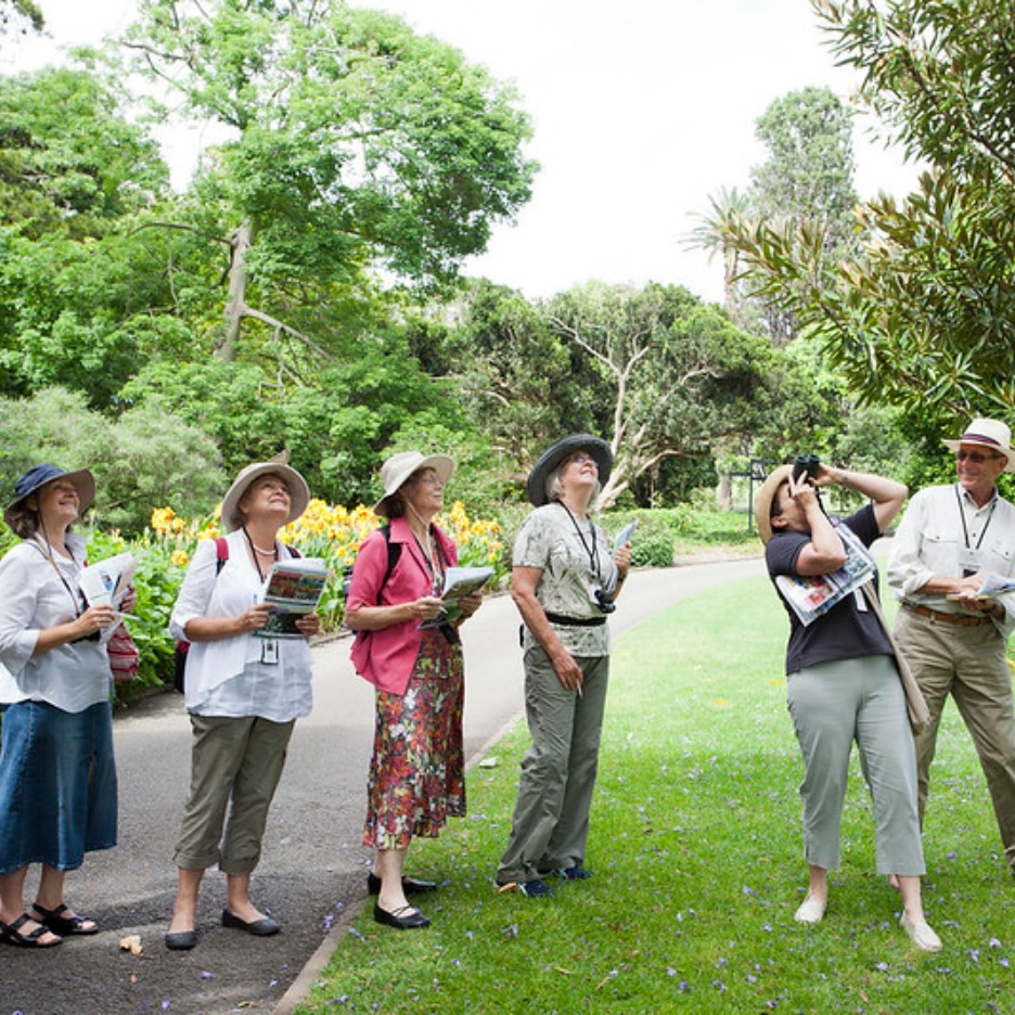 Guided walks