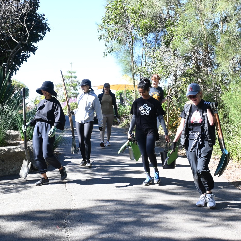 Sydney City Farm volunteer working bees
