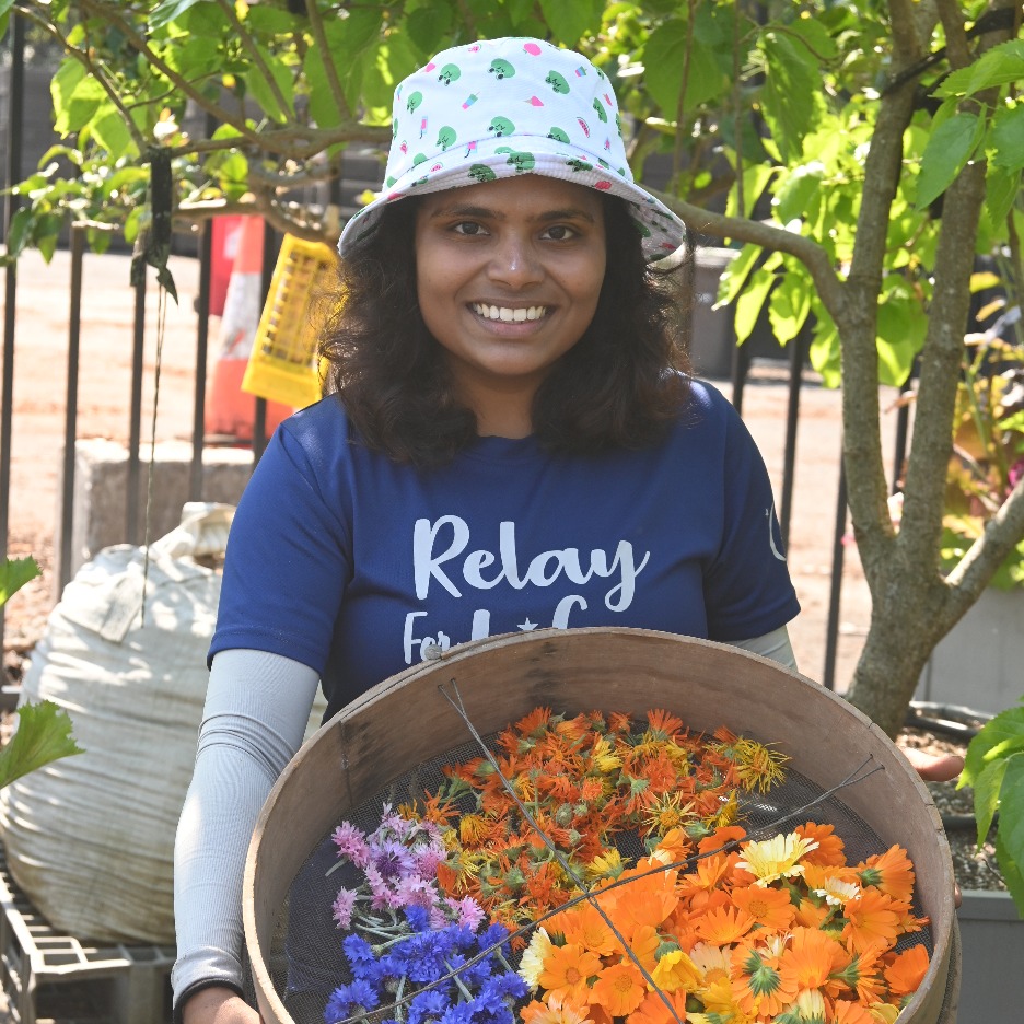 Sydney City Farm new volunteer induction session