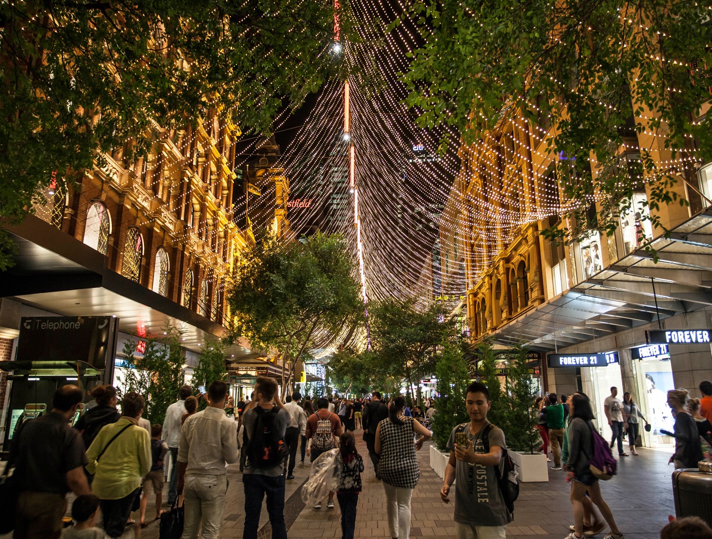 Canopy of Light