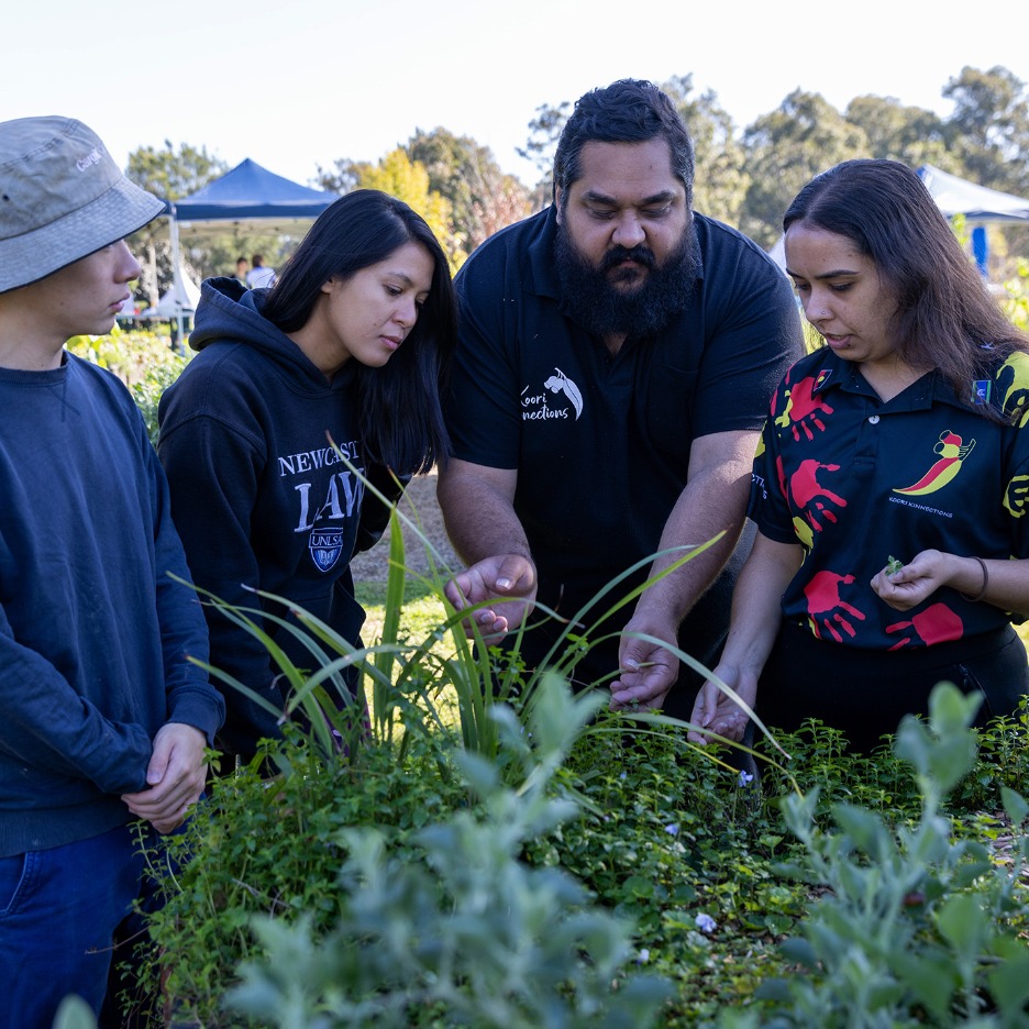 Bush food discovery tour
